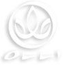 OlliWorldStore